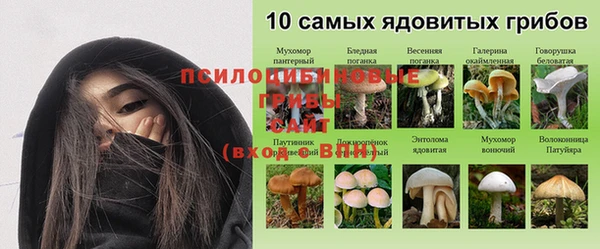 молекула духа Долгопрудный
