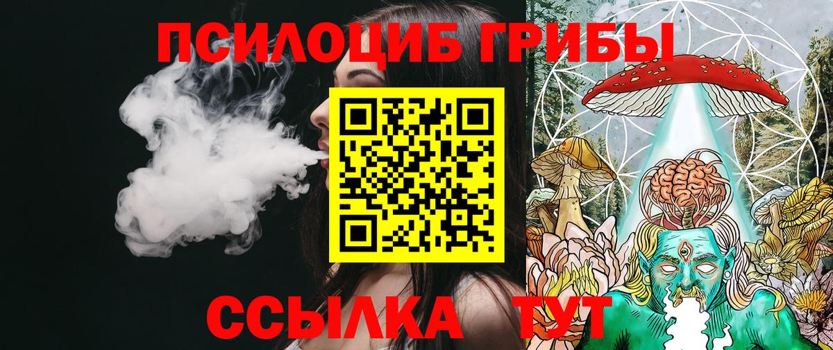 Псилоцибиновые грибы мицелий Дмитров
