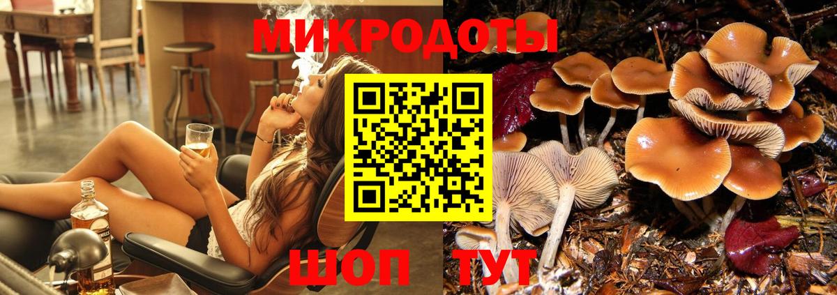 Псилоцибиновые грибы GOLDEN TEACHER  купить  цена  Дмитров  Вход с VPN  Псилоцибиновые грибы GOLDEN TEACHER 