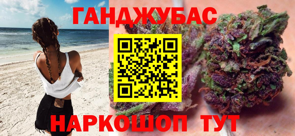 Бошки Шишки план Дмитров